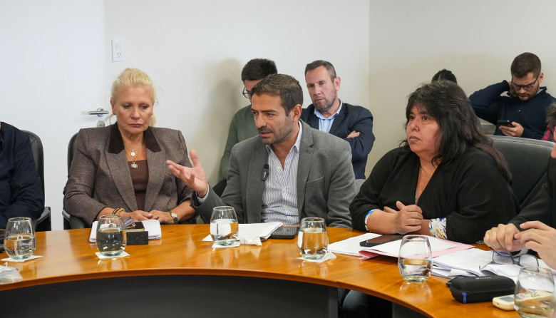 Blanzaco expuso ante el Senado el trabajo que desarrolla la provincia en materia de salud mental