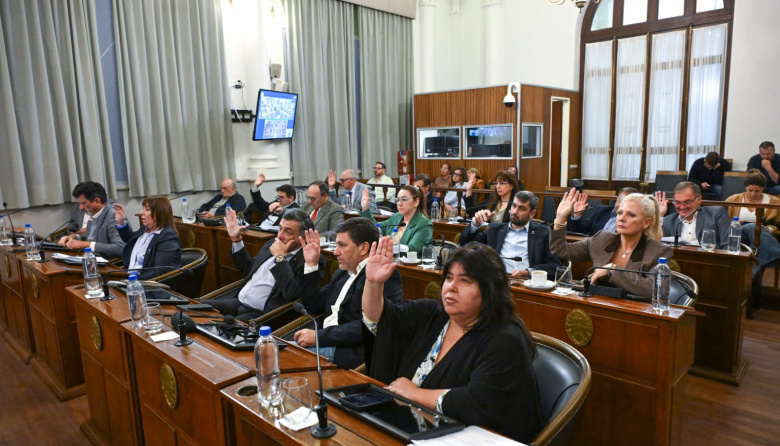 El Senado entrerriano aprobó proyectos de producción avícola industrial y de alivio fiscal