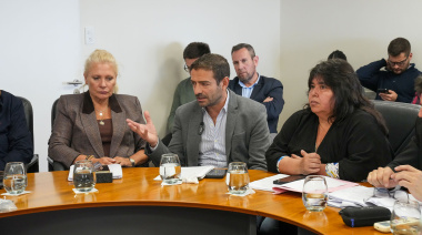 Blanzaco expuso ante el Senado el trabajo que desarrolla la provincia en materia de salud mental