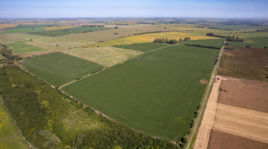 La Corte Suprema suspendió provisoriamente la derogación de la Ley de Tierras