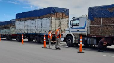 Se reglamentó la ley de control de peso vehicular para proteger las rutas provinciales