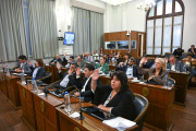 El Senado entrerriano aprobó proyectos de producción avícola industrial y de alivio fiscal