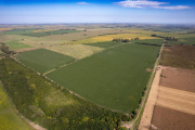 La Corte Suprema suspendió provisoriamente la derogación de la Ley de Tierras