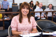 Una senadora peronista se suma a la simplificación electoral de Frigerio y pide suspender las PASO en Entre Ríos
